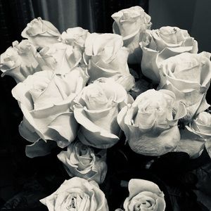 Meet your Posher, Soila